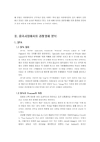 [국제경영] 이랜드의 중국진출(SPA시장에 뛰어든 SPAO, 스파오)-15