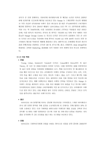 [국제경영] 이랜드의 중국진출(SPA시장에 뛰어든 SPAO, 스파오)-17