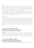 [국제경영] 아이리버와 아이팟 비교-7