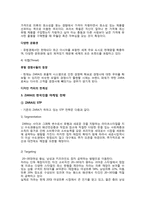 [마케팅] 자라 ZARA의 글로벌 마케팅 성공요인 분석-16