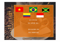 [유통구조분석] 커피 유통구조-4