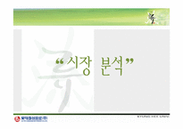 [광고론] 롯데칠성음료 한방차 `내 몸에 흐를 류` 광고기획서-5