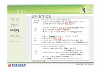 [광고론] 롯데칠성음료 한방차 `내 몸에 흐를 류` 광고기획서-16