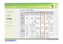 [광고론] 롯데칠성음료 한방차 `내 몸에 흐를 류` 광고기획서-18