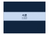 [광고홍보윤리법제론] 인터넷 쇼핑몰 광고 윤리와 11번가 광고기획-3