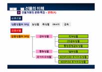 선물옵션 레포트-11