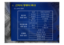 [국제물류] 해운의 역사-12