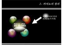 [리조트경영론] 카지노 리조트-5