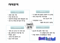 [광고론] Nikon 니콘 광고기획서-12