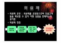 [관광학개론] 세계축제관광 패키지 투어-7