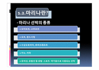 [리조트경영론] 마리나 리조트-8