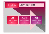 [경영정보시스템] ERP 사례 및 향후 예측-5