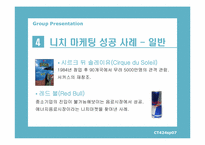 니치 마케팅(Niche Marketing)-9