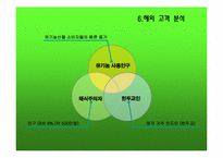 [국제마케팅] 풀무원 해외시장 전략-14
