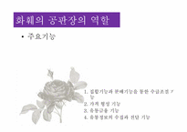 [유통구조분석] 화훼의 유통과정(유통구조)-17