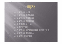 SCM(supply chain management) 효과 및 성공사례-2