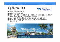 [리조트경영론] 휘닉스파크-11