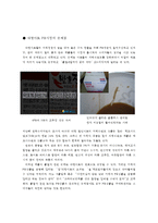 PB시장 -대형마트를 시작으로 화장품PB까지-11