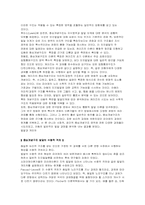 신피아제 & 최근 인지이론-11