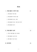 [특별활동] 재량활동 이론, 연간 계획서, 지도안-2