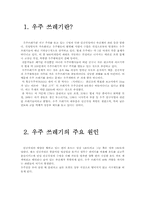 우주쓰레기 레포트-3