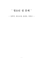 청소년 성 문제 -성폭력, 원조교제, 음란물, 미혼모-1