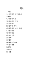 청년들의 소비실태-2