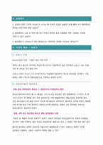 [서양문화] 진주귀고리소녀와 동방코드-3