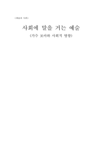 가수 보아와 사회적 영향-1