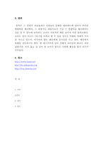 가수 보아와 사회적 영향-6