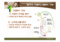 췌장염(Pancreatitis)-6