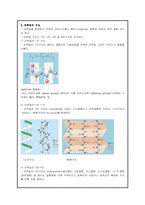[식품영양] 탄수화물, 지방, 단백질-13
