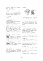 식품화학 8장 -11장 요약-2