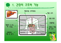 [임상영양학] 간 질환-3