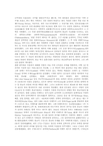 [중국의 소수민족][중국소수민족]중국의 소수민족(중국소수민족) 현황과 중국의 소수민족(중국소수민족) 정책 및 중국의 소수민족(중국소수민족) 하니족, 중국의 소수민족(중국소수민족) 따이족, 중국의 소수민족(중국소수민족) 티베트족 분석-13