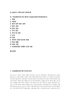 [부실채권처리기관]부실채권처리기관 미국의 RTC와 스웨덴의 SECURUM & RETRIVA, 부실채권처리기관 필리핀의 APT와 체코슬로바키아의 CB, 부실채권처리기관 중국의 COAMC와 한국의 KAMCO(한국자산관리공사) 분석-2
