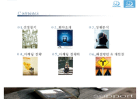 레인콤마케팅전략 PPT자료-2