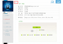 레인콤마케팅전략 PPT자료-4