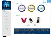 레인콤마케팅전략 PPT자료-6