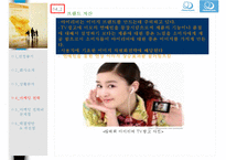 레인콤마케팅전략 PPT자료-15