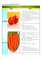 천연재료를 이용한 피부관리방법-6