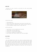 분장메이크업 레포트-9