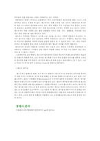 크라제버거 레포트-4