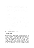 보육모델과 보육과정을 요약-5