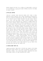 보육모델과 보육과정을 요약-6