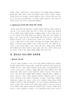 보육모델과 보육과정을 요약-8