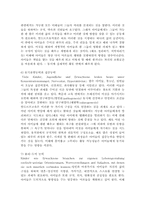 보육모델과 보육과정을 요약-12