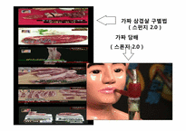 기업과 사회- 소비자 및 이사회와 주주-11