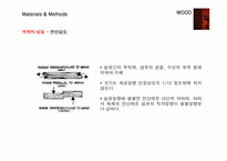 목재의 성질 및 종류-13
