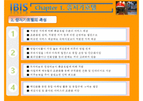 IBIS 호텔마케팅 전략-5